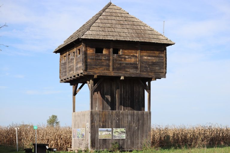 Cardak 1 768x512
