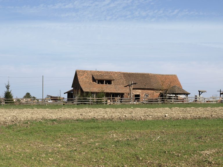 OPG Bistricki 1 768x576