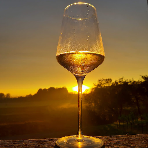 Vina Kahler