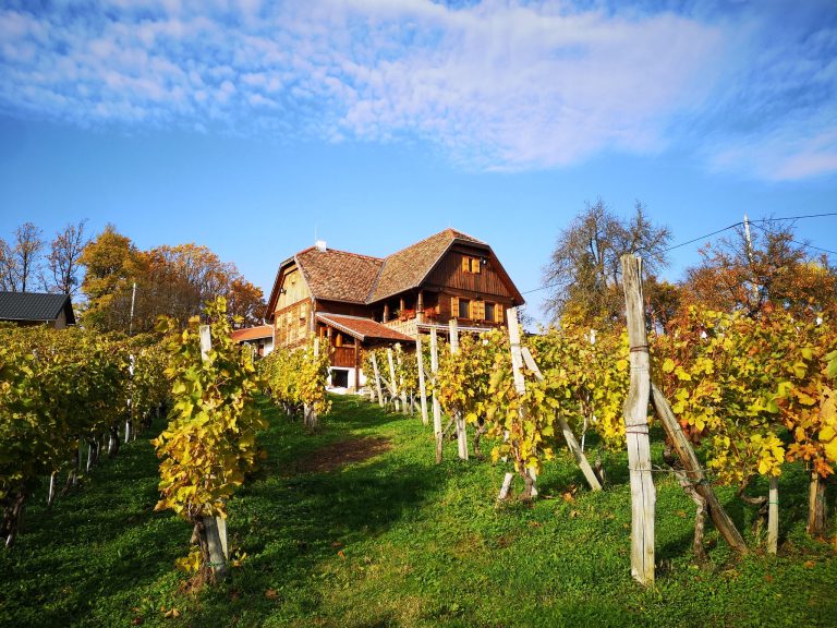 Vinarija opg herak 4 768x576