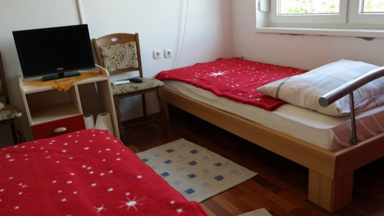 Zrnic 1 768x432