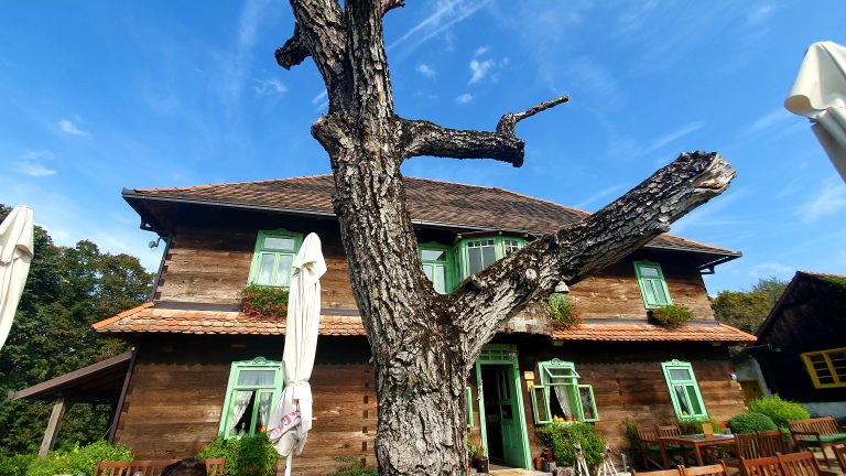 restoran August 1 768x432