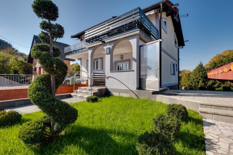 Saric 1 768x512