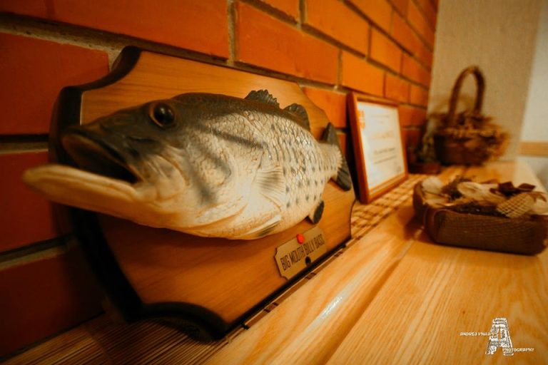 1503895 502868203160937 1263590408 n 768x512