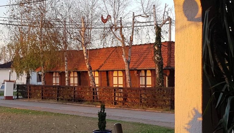 46217751 2160589844004230 4735773258605920256 n 768x435