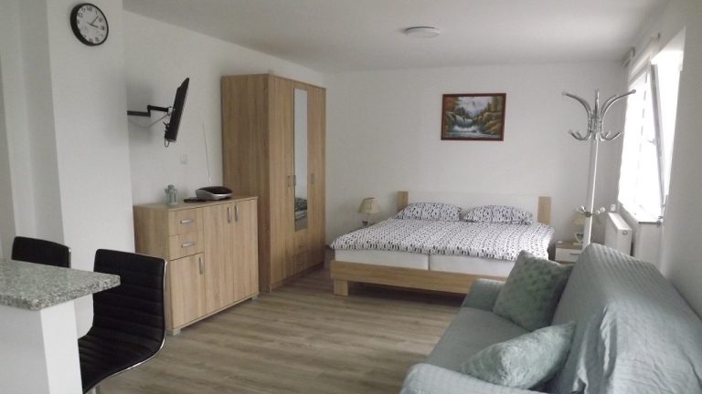 Ankica Trdina 2 768x432