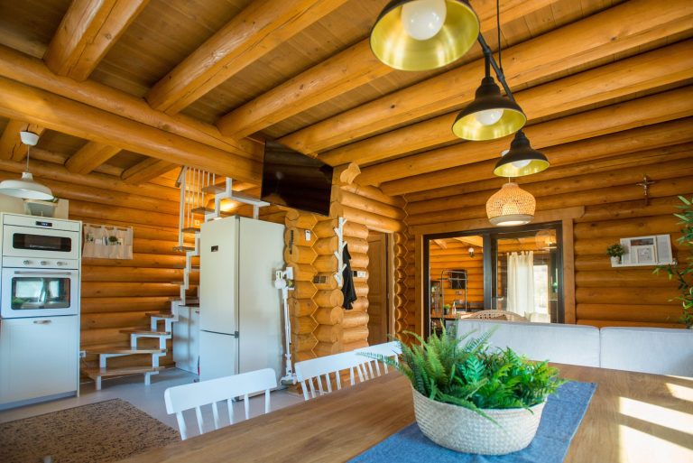 Babylonica 1 768x513