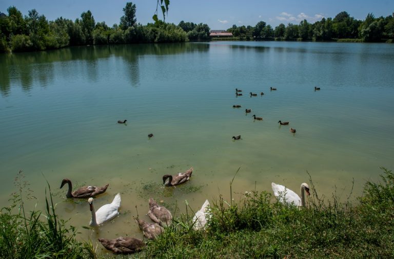 Ciglarska graba 768x504