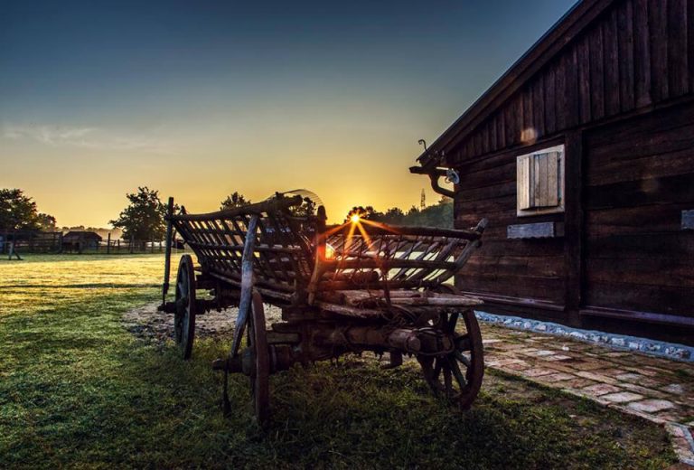 Izletiste Korablja Tisinic 1 768x520