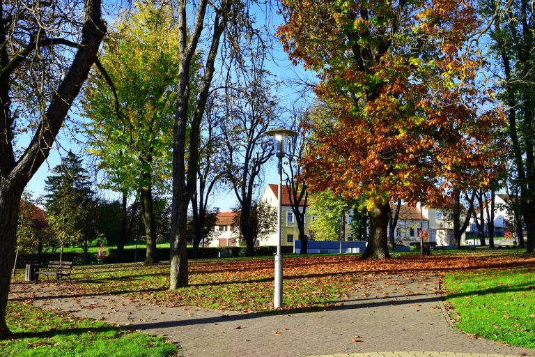 Lipovljanski park 768x512