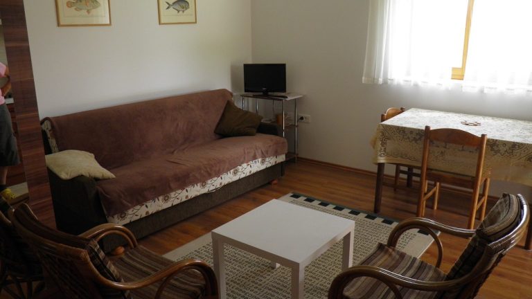 Marija Loncar Matijasevic 2 768x432