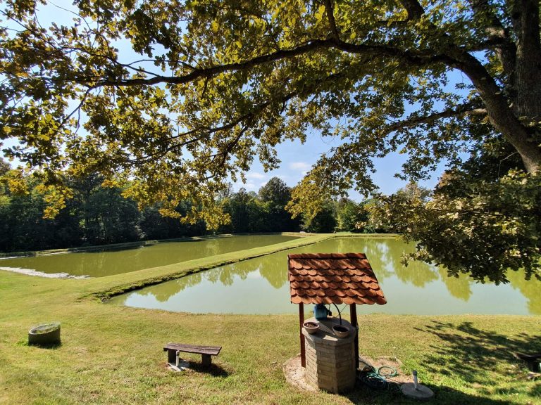 OPG Horvat 3 768x576