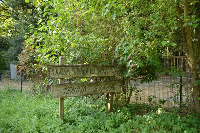 Tenina staza 768x512