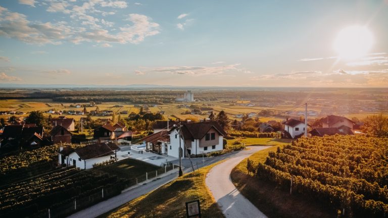 Vinarija Belajec2 768x432