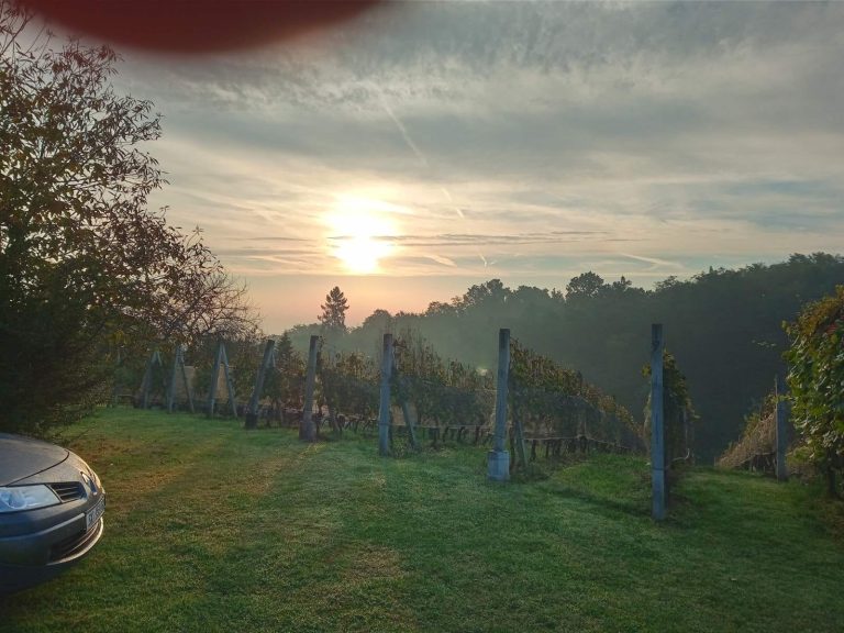 Vinarija Marincic 3 768x576