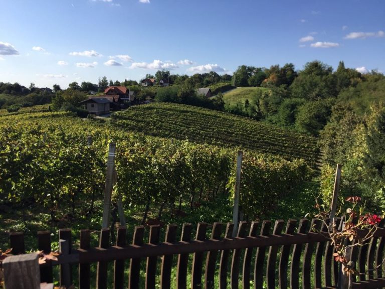 Vinarija Prpic4 768x576