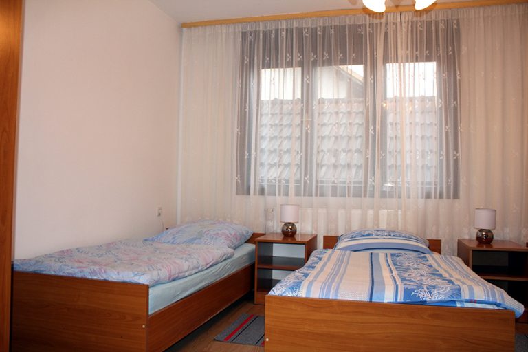 Vladimir Panezic 1 768x512