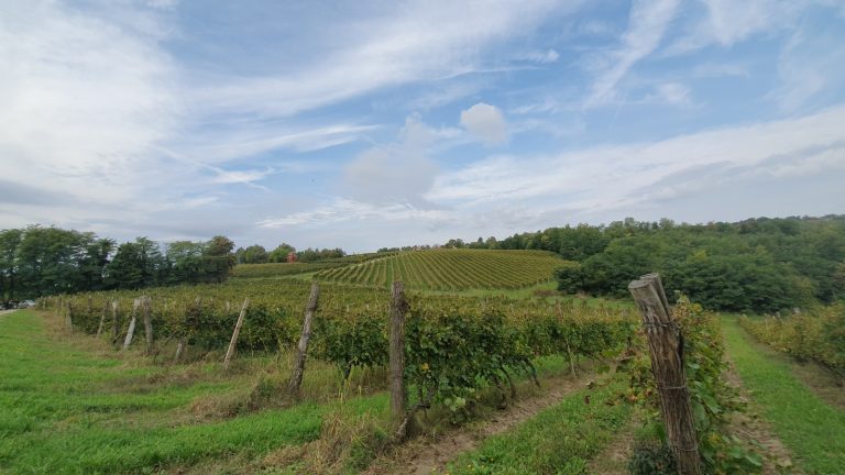 smz istrazite skrlet 00005 768x432