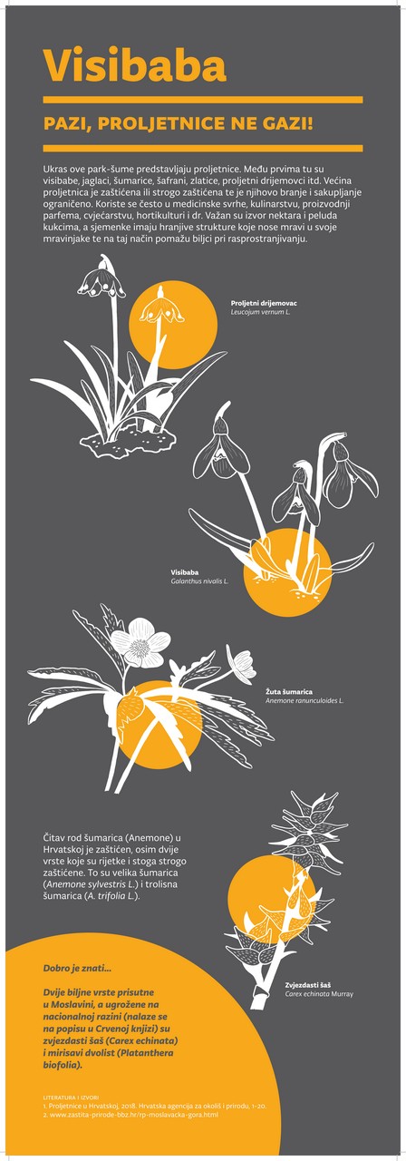 visit sisak moslavina staze kutina turskistol 00006