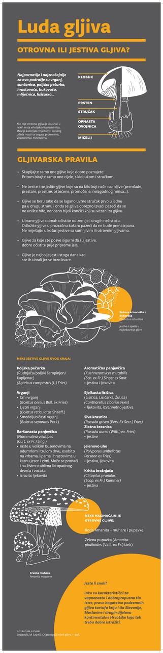 visit sisak moslavina staze kutina turskistol 00007