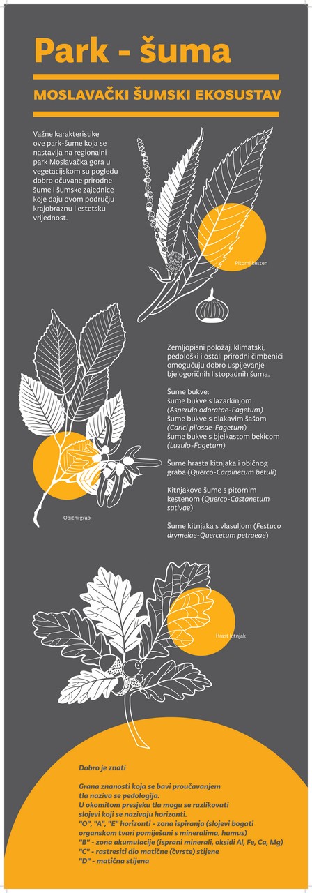 visit sisak moslavina staze kutina turskistol 00013