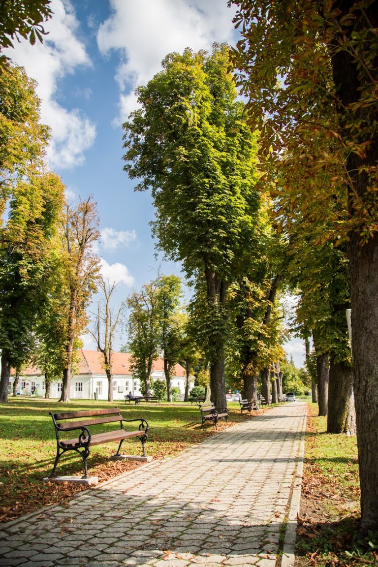 visit sisak moslavina szate kutina 00008 768x1152