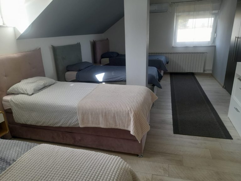 petrus projekti 2 768x576