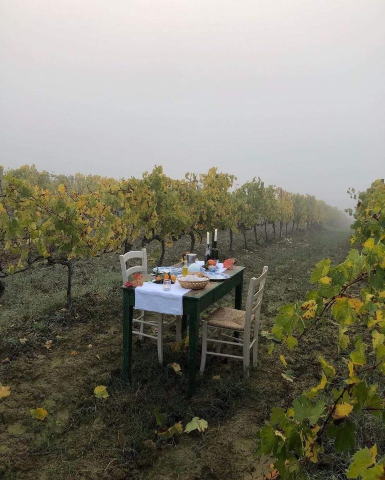 307474060 130766369698657 7496302693607122176 n 768x959