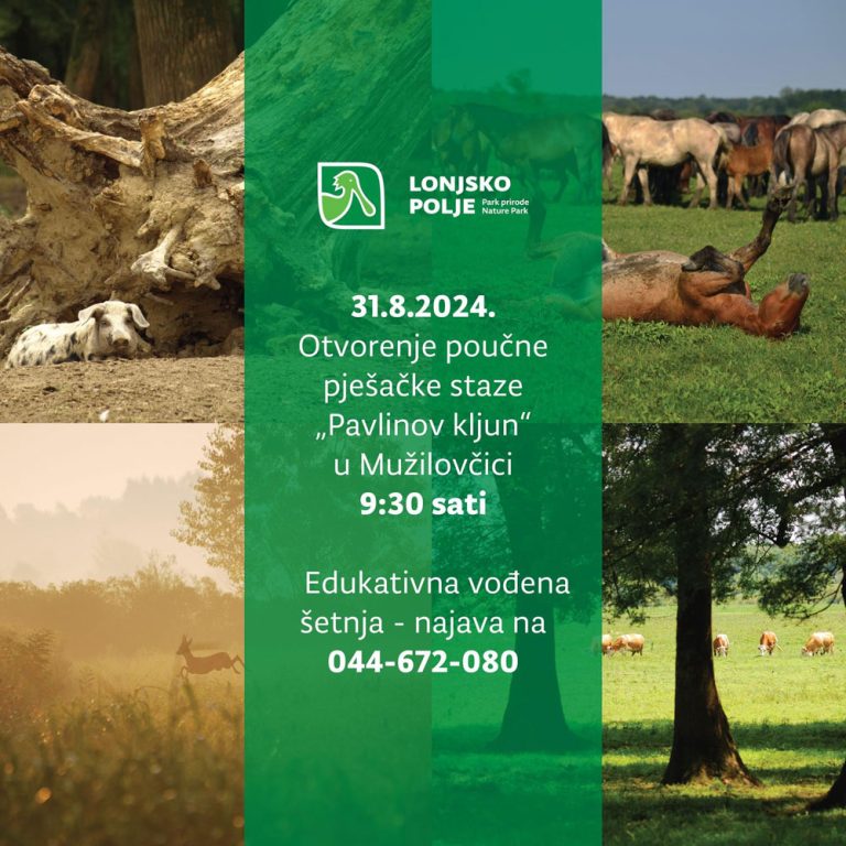 pavlinov put 768x768