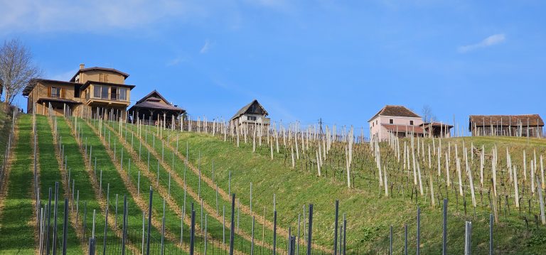 20240303 154256 768x359