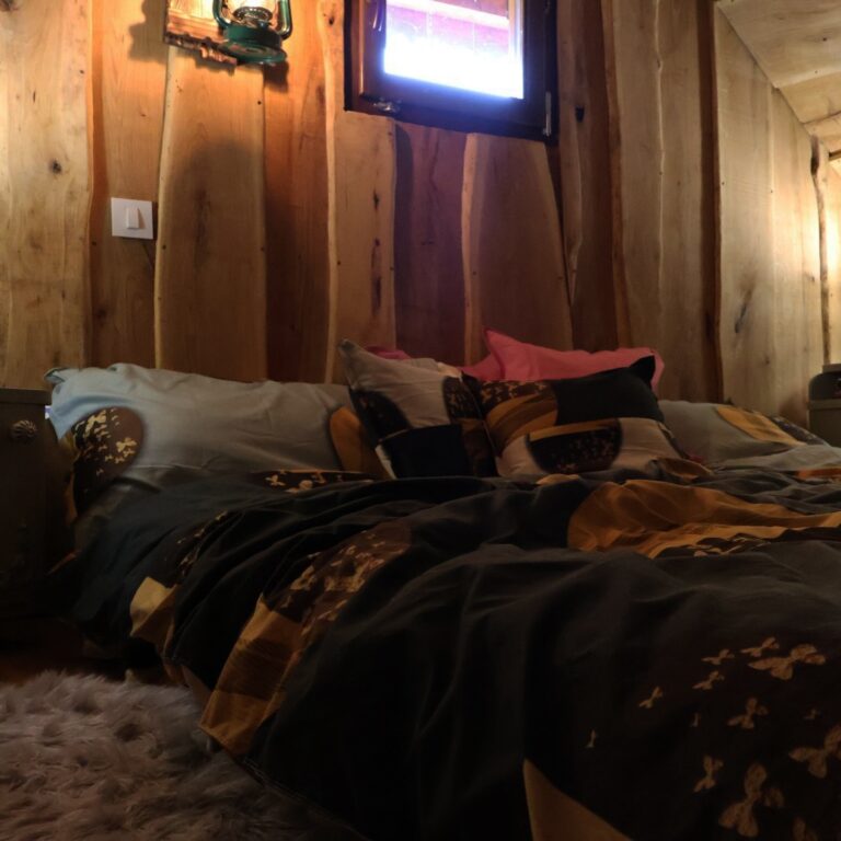 467489049 17854731249321386 830719240368190310 n 768x768