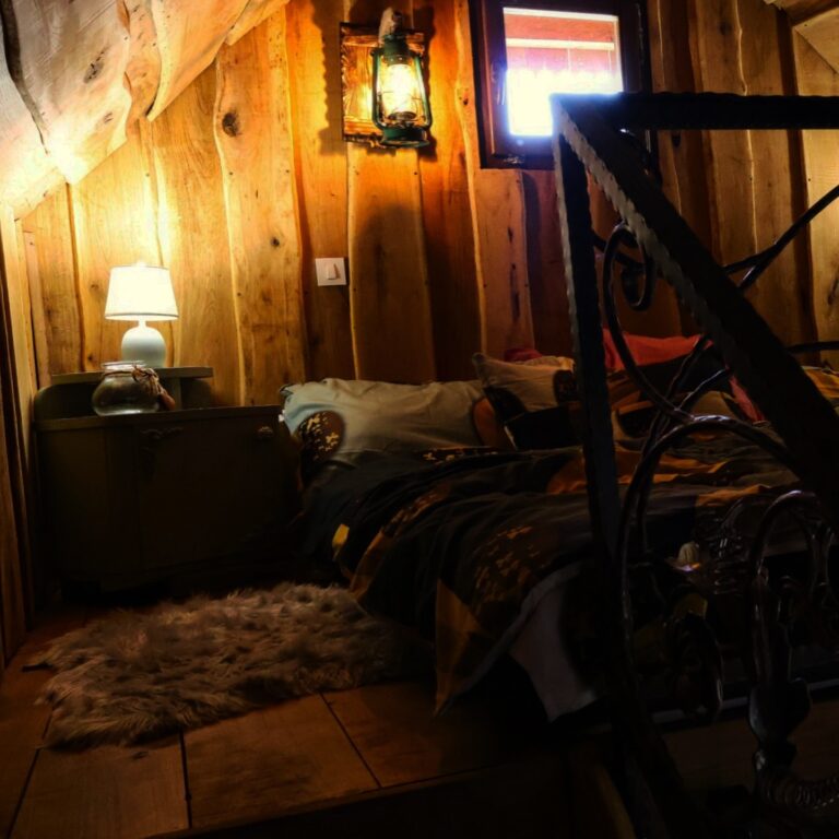 467813542 17854731252321386 6643710423529923096 n 768x768